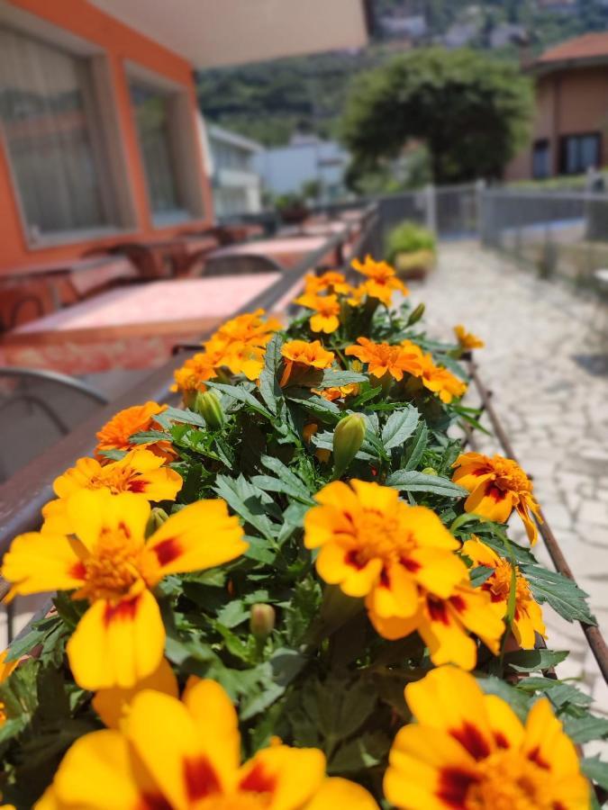 Albergo Villa Mimosa Torbole Sul Garda Exteriér fotografie